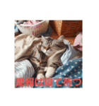 ラブリーキャット⑳。。受験生応援（個別スタンプ：11）
