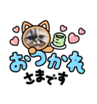 ラブリーキャット⑳。。受験生応援（個別スタンプ：14）