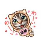 ラブリーキャット⑳。。受験生応援（個別スタンプ：15）