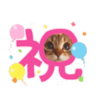 ラブリーキャット⑳。。受験生応援（個別スタンプ：24）