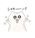 【公式】わしのスタンプ（個別スタンプ：5）