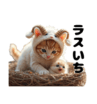 Cute Cats 猫【今どき！？若者言葉】（個別スタンプ：31）