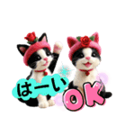 子猫たちに癒される日常（個別スタンプ：4）