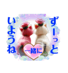 子猫たちに癒される日常（個別スタンプ：10）