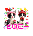 子猫たちに癒される日常（個別スタンプ：23）