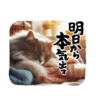 ラブリーキャット⑲。（個別スタンプ：9）