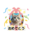 ラブリーキャット⑲。（個別スタンプ：22）