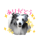 アルちゃん（べっぴんさん）（個別スタンプ：3）