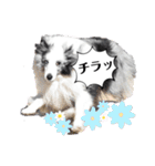 アルちゃん（べっぴんさん）（個別スタンプ：4）