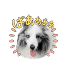 アルちゃん（べっぴんさん）（個別スタンプ：6）