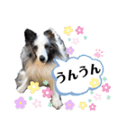アルちゃん（べっぴんさん）（個別スタンプ：11）