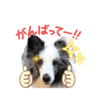 アルちゃん（べっぴんさん）（個別スタンプ：12）
