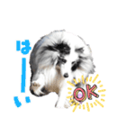 アルちゃん（べっぴんさん）（個別スタンプ：20）