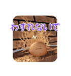 ひみつのおるすばん 第一弾（個別スタンプ：29）
