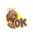 smoky（スモーキー）【Part2】（個別スタンプ：1）