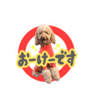 smoky（スモーキー）【Part2】（個別スタンプ：2）