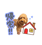 smoky（スモーキー）【Part2】（個別スタンプ：7）