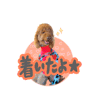 smoky（スモーキー）【Part2】（個別スタンプ：8）