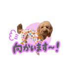 smoky（スモーキー）【Part2】（個別スタンプ：9）