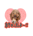 smoky（スモーキー）【Part2】（個別スタンプ：11）