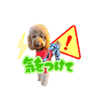 smoky（スモーキー）【Part2】（個別スタンプ：13）