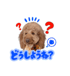 smoky（スモーキー）【Part2】（個別スタンプ：15）
