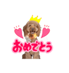 smoky（スモーキー）【Part2】（個別スタンプ：16）
