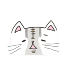 ゆず＆はるに春がきた♪（猫スタンプ）（個別スタンプ：39）