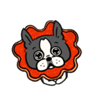 ボストンテリア ぱるちゃん！（個別スタンプ：1）