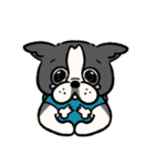 ボストンテリア ぱるちゃん！（個別スタンプ：11）