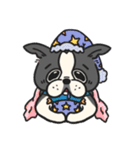 ボストンテリア ぱるちゃん！（個別スタンプ：12）