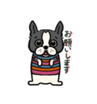 ボストンテリア ぱるちゃん！（個別スタンプ：14）
