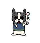 ボストンテリア ぱるちゃん！（個別スタンプ：15）
