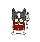 ボストンテリア ぱるちゃん！（個別スタンプ：16）
