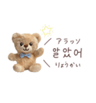 くまの韓国語♡（個別スタンプ：1）