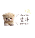 くまの韓国語♡（個別スタンプ：10）