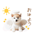 天使と悪魔♡柴犬の日常スタンプ（個別スタンプ：1）