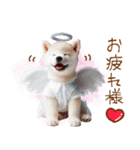 天使と悪魔♡柴犬の日常スタンプ（個別スタンプ：2）
