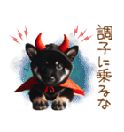天使と悪魔♡柴犬の日常スタンプ（個別スタンプ：4）