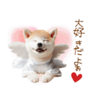 天使と悪魔♡柴犬の日常スタンプ（個別スタンプ：10）
