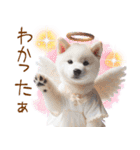 天使と悪魔♡柴犬の日常スタンプ（個別スタンプ：13）