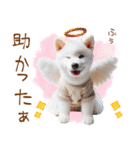 天使と悪魔♡柴犬の日常スタンプ（個別スタンプ：17）