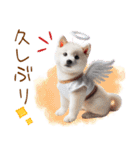 天使と悪魔♡柴犬の日常スタンプ（個別スタンプ：18）