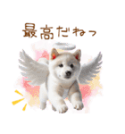 天使と悪魔♡柴犬の日常スタンプ（個別スタンプ：26）