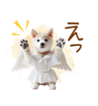 天使と悪魔♡柴犬の日常スタンプ（個別スタンプ：34）