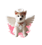天使と悪魔♡柴犬の日常スタンプ（個別スタンプ：38）