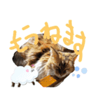 にゃんこの居処  改（個別スタンプ：39）