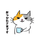 目つきは悪いが心やさしきネコ（個別スタンプ：1）