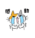 目つきは悪いが心やさしきネコ（個別スタンプ：4）