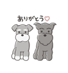 うちの子わんわん 04（個別スタンプ：5）